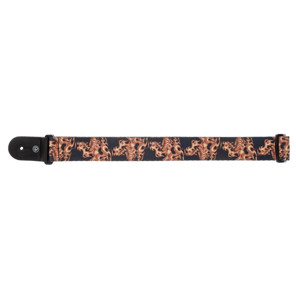 PLANET WAVES 50LT01