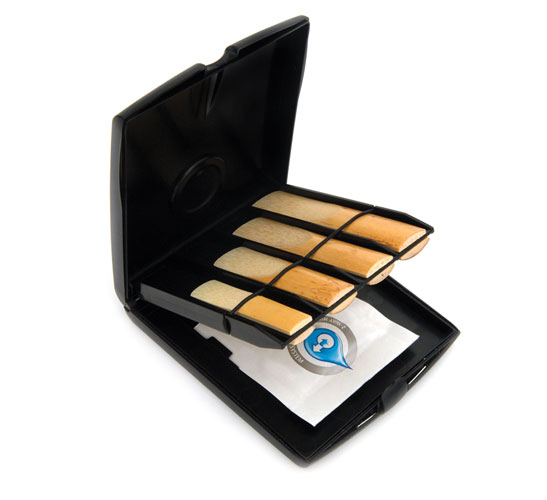    RICO RVCASE02