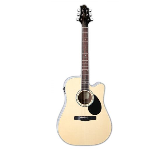 GREG BENNETT GD101SCE/N -    , , .,  