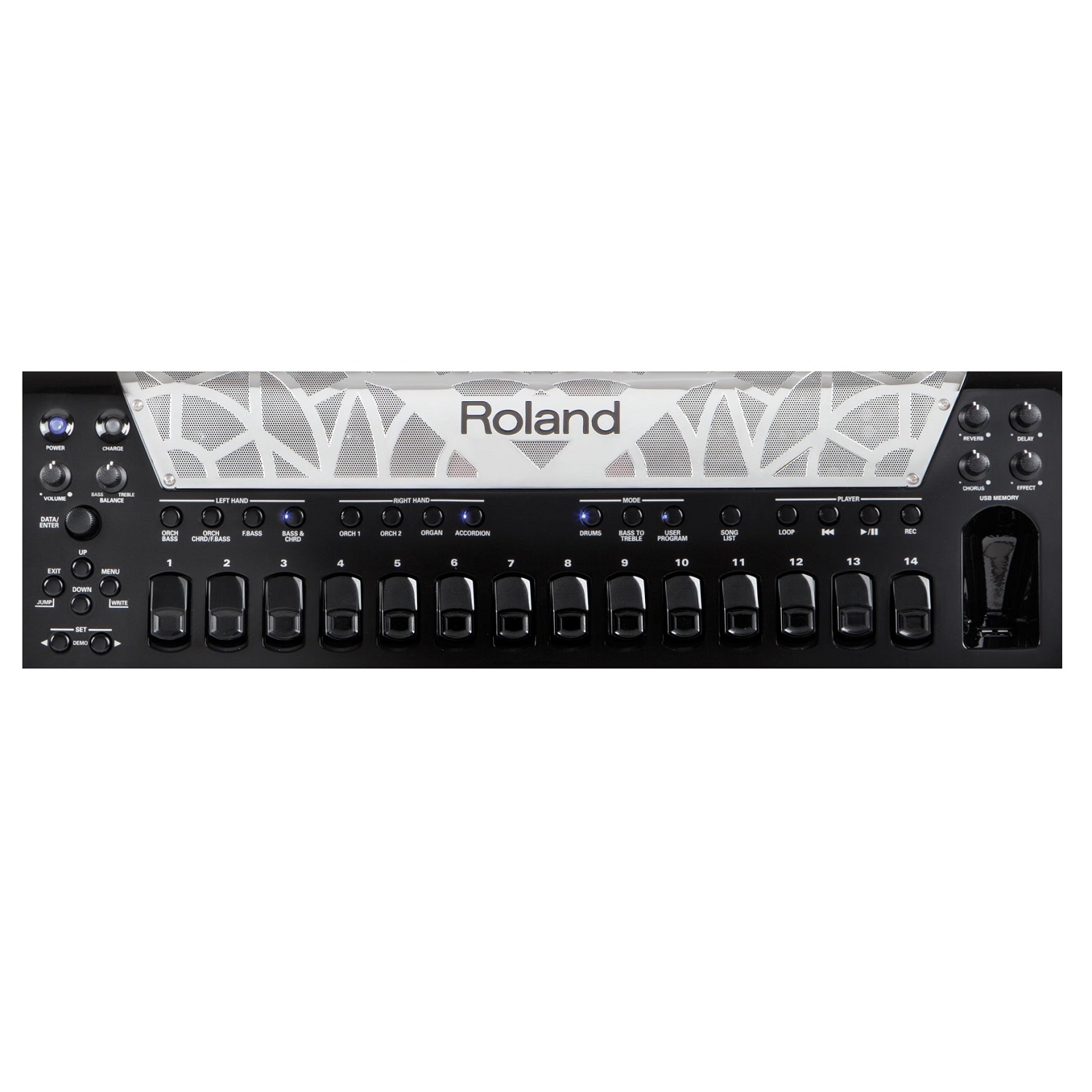 ROLAND FR-8X-BK -  .