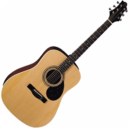 GREG BENNETT D2/N - акустическая гитара, дредноут, ель, цвет натуральный